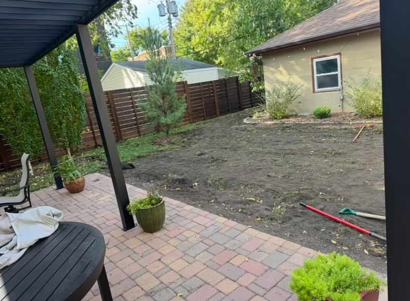 Shrub Removal