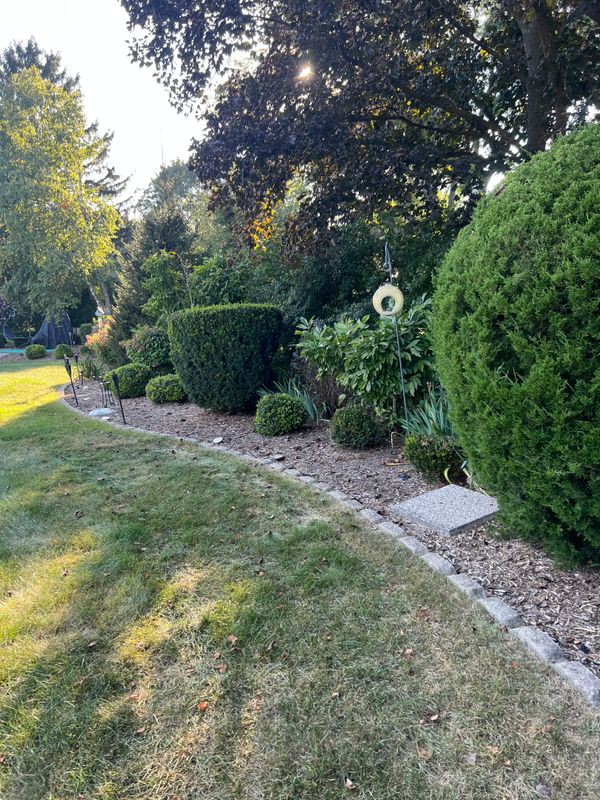 Landscaping