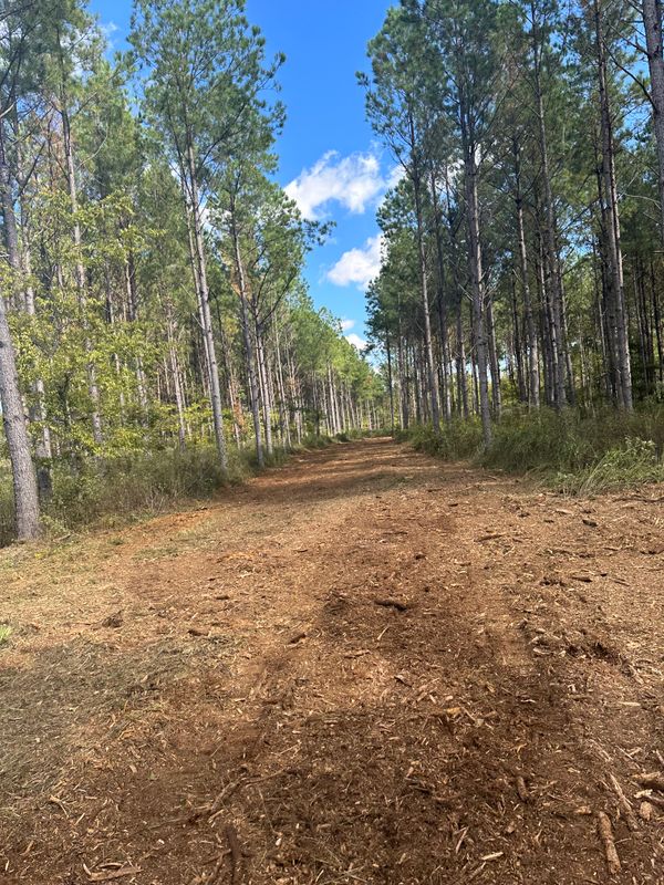 Mulching 