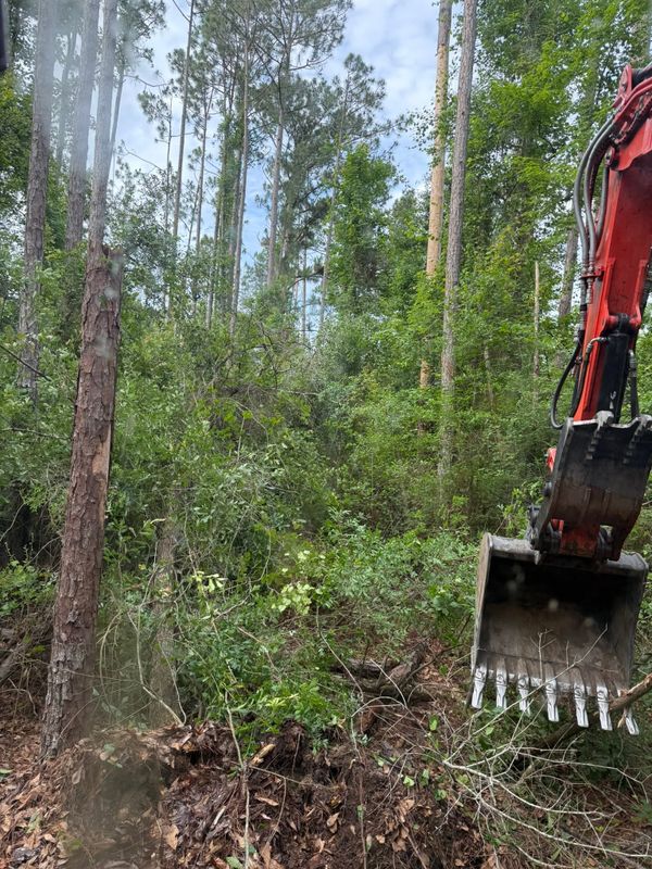 Land Clearing