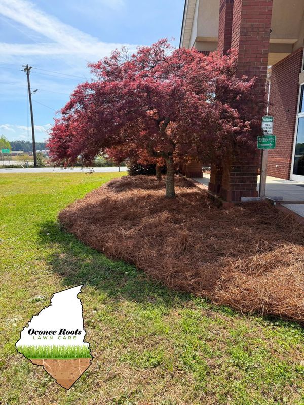 Landscape Design & Installation