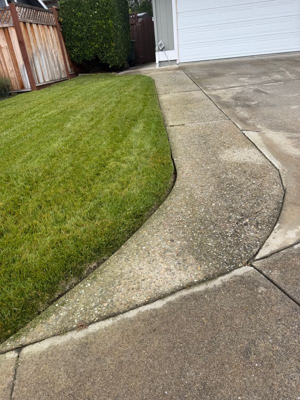Lawn Maintenance