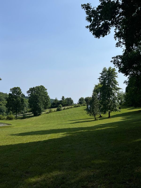 Lawn Care