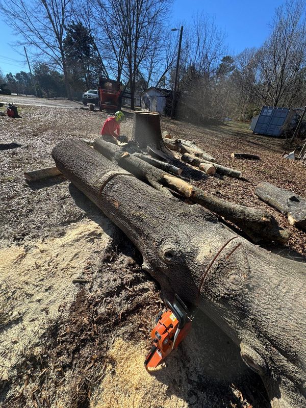 Stump Removal