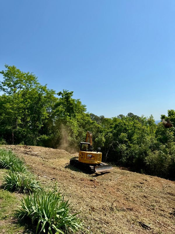 Land Clearing