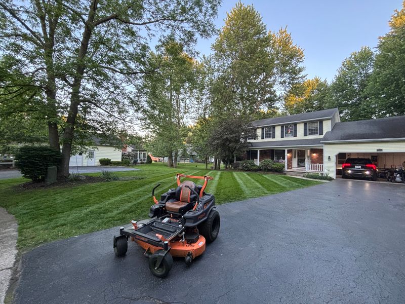 Lawn Maintenance