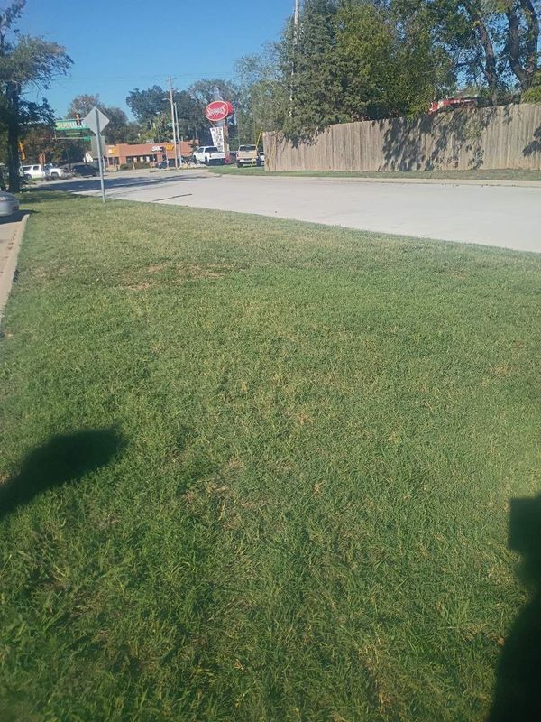 Commercial Landscaping & Lawncare