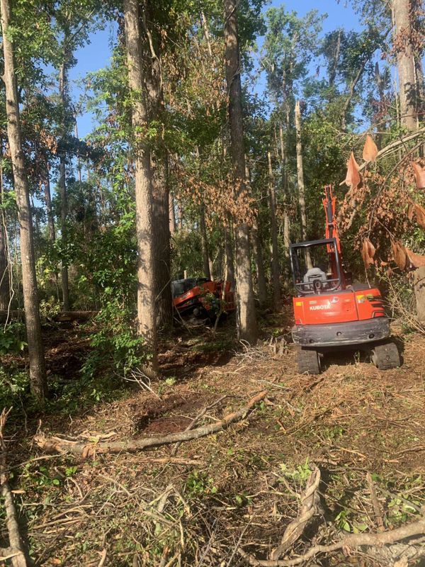 Tree Removal gallery