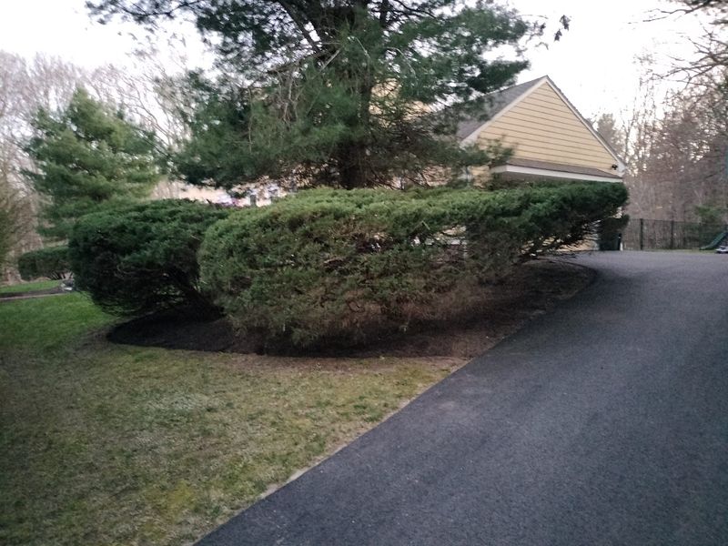 Landscaping gallery