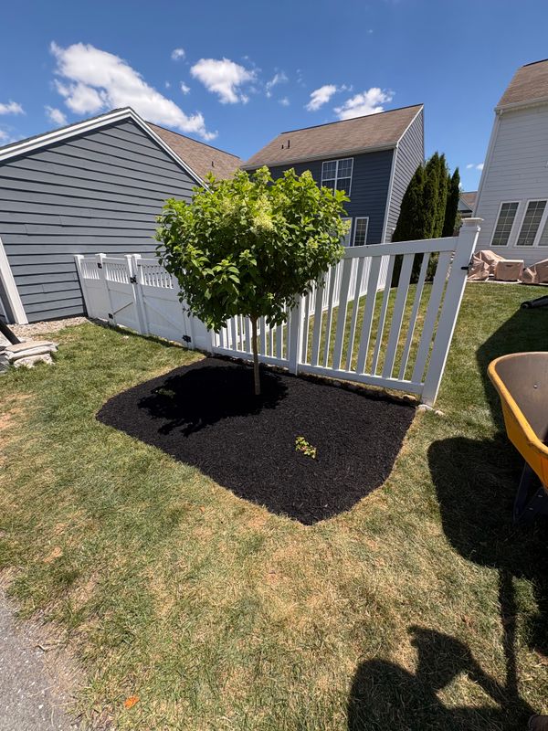 Landscape Design