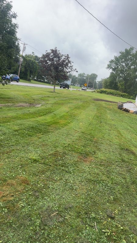 Lawn Rolling