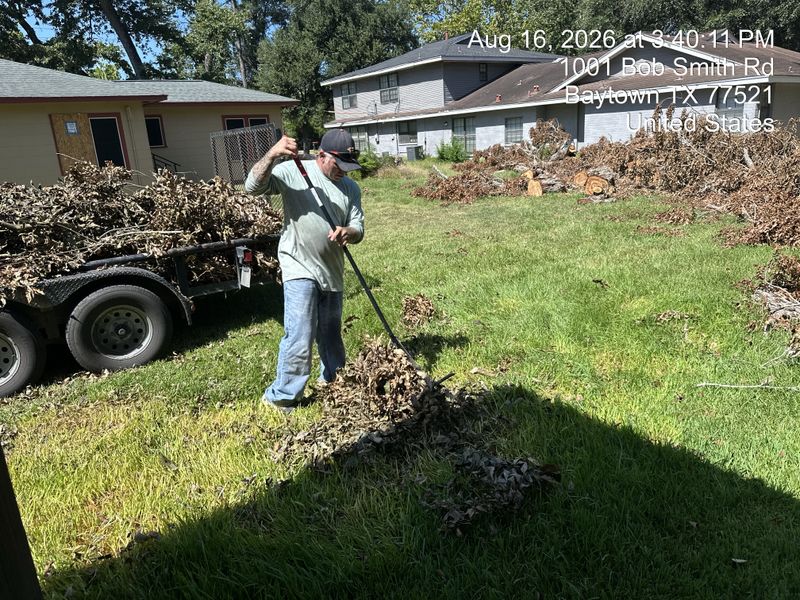 Tree trimming and removal