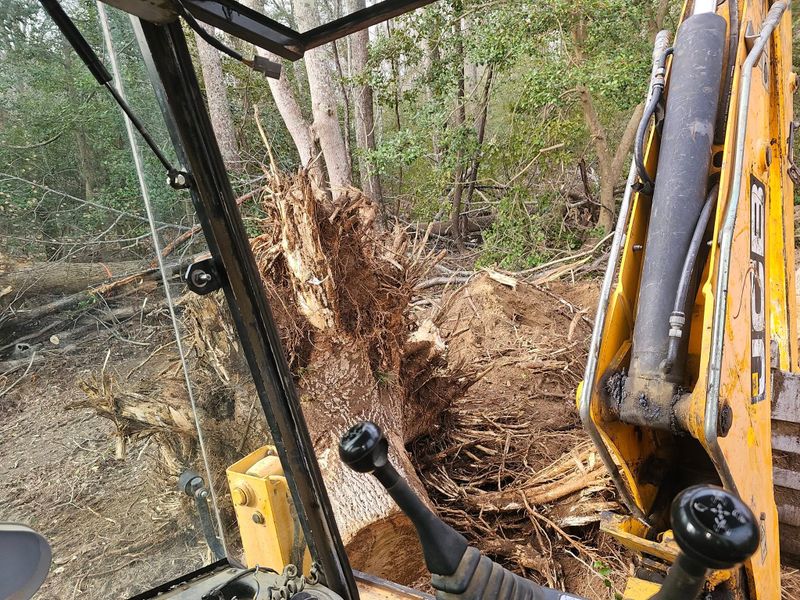 Fall Cleanup