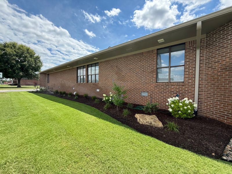 Plant & Shrub Installations