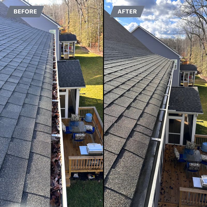 Gutter Cleaning