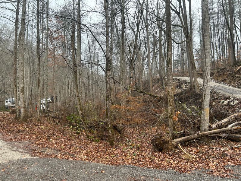 Land Clearing