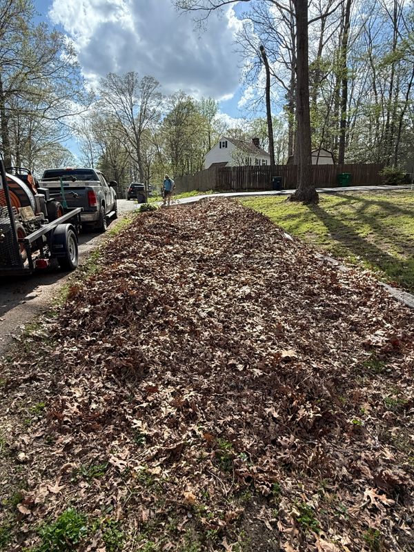 Leaf Removal