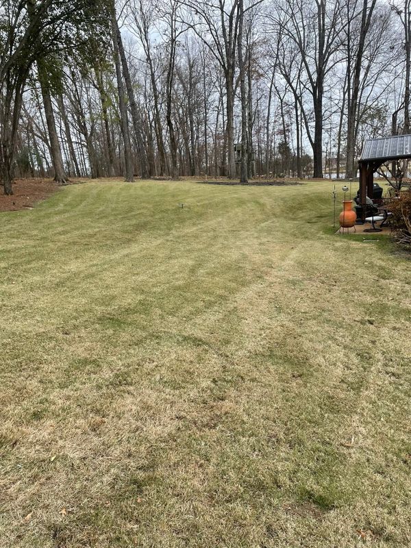 Land Clearing and Site Preparation