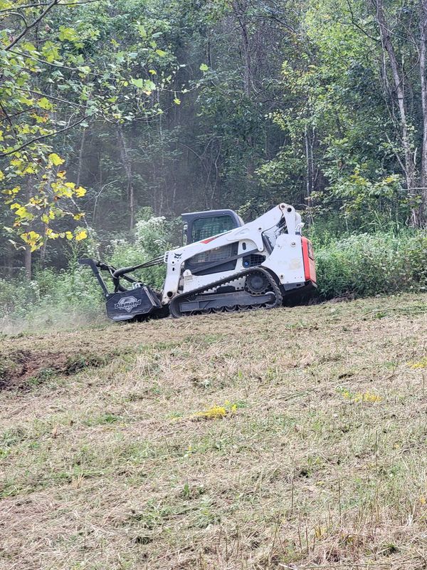 Land Clearing