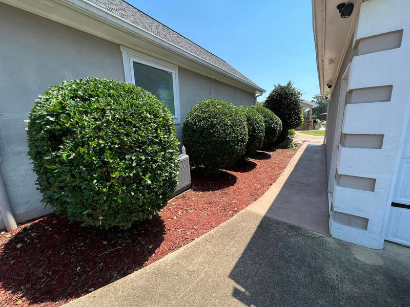 Tree & Shrub Care