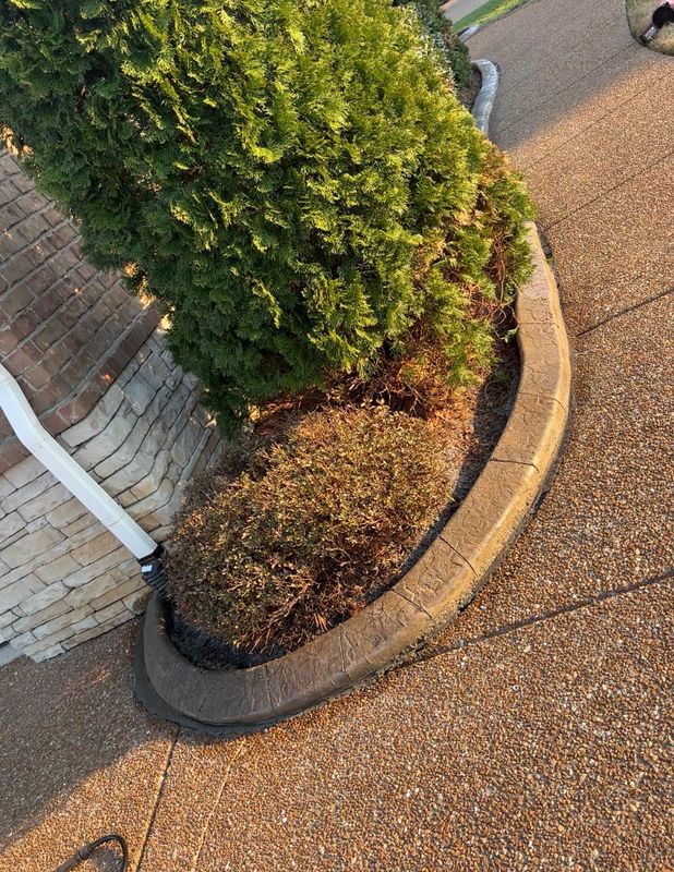 Concrete Curbing Edges