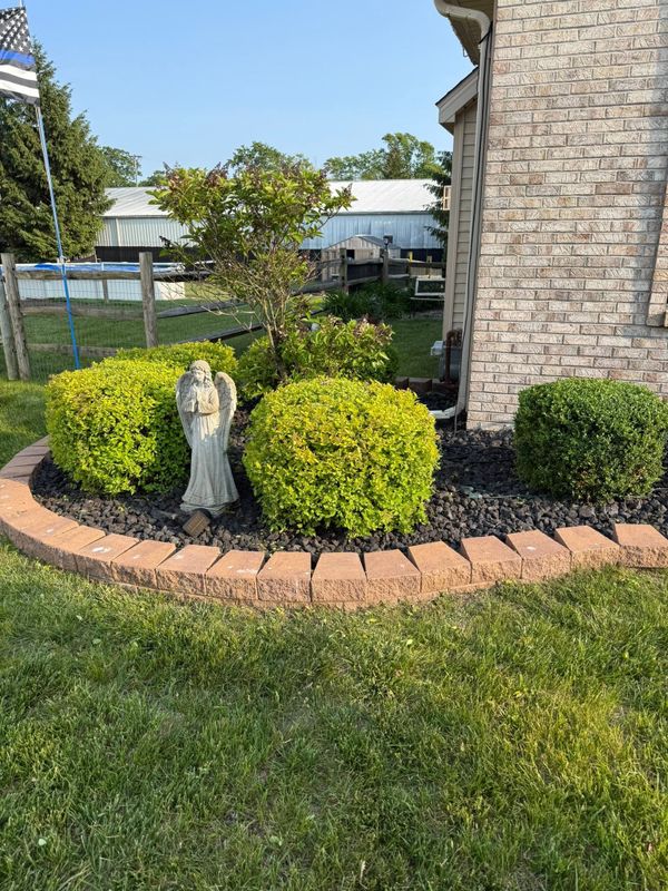 Garden Designs