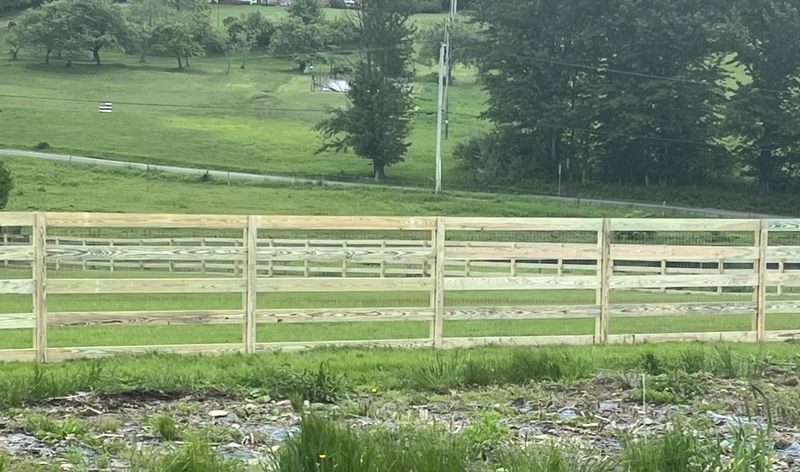 Fence Installation