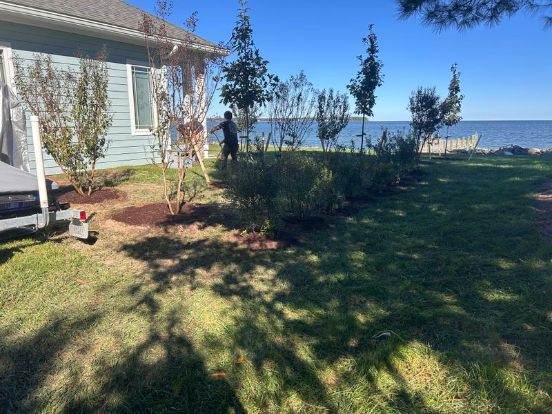 Shrub and Plant Trimming