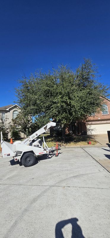 Tree Trimming