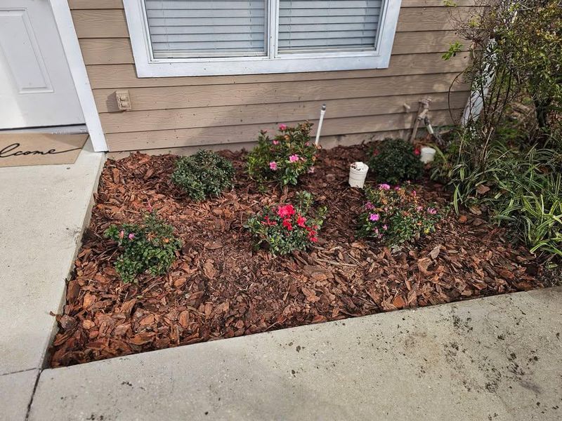 Mulch Installation