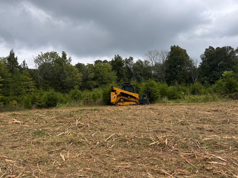 Forestry Mulching
