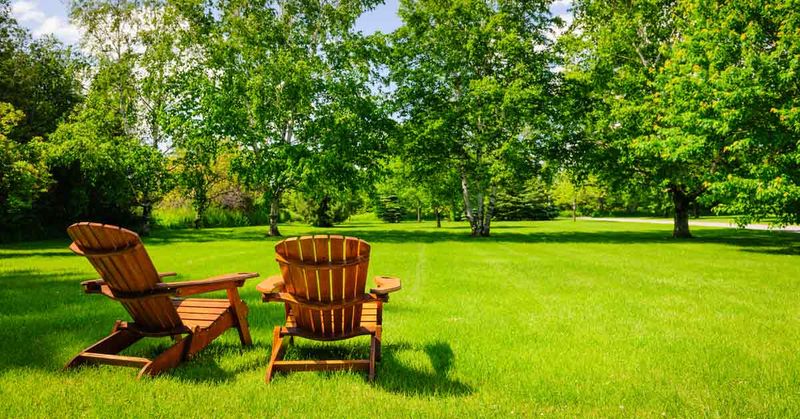 Lawn Mowing and Maintenance