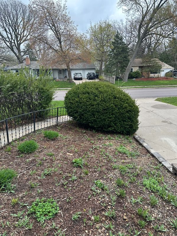 Tree & Shrub Care