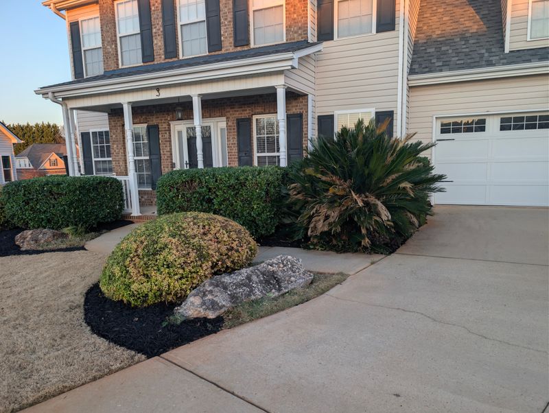 Mulch Installation