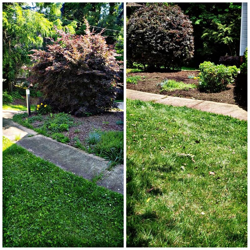 Garden Designs
