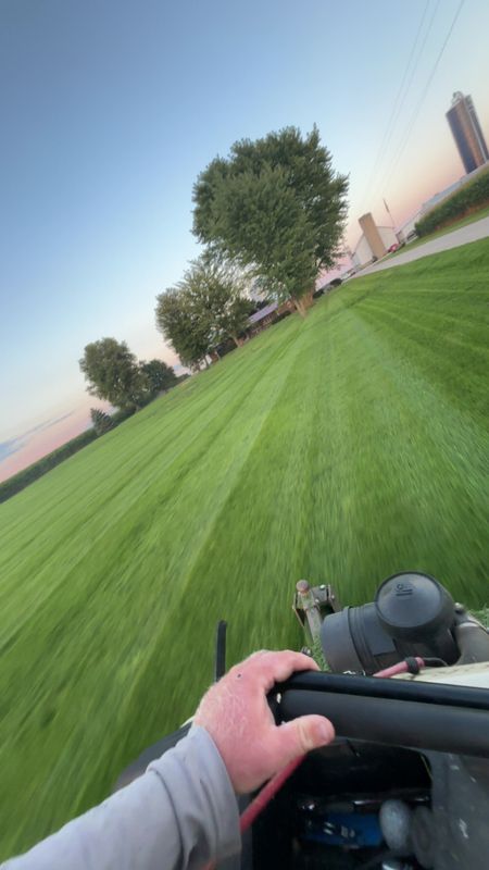 Spring Cleanup