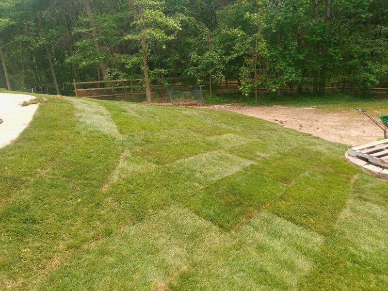 Grass Up