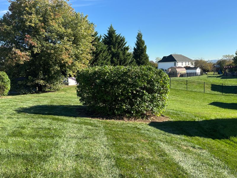 Garden Maintenance