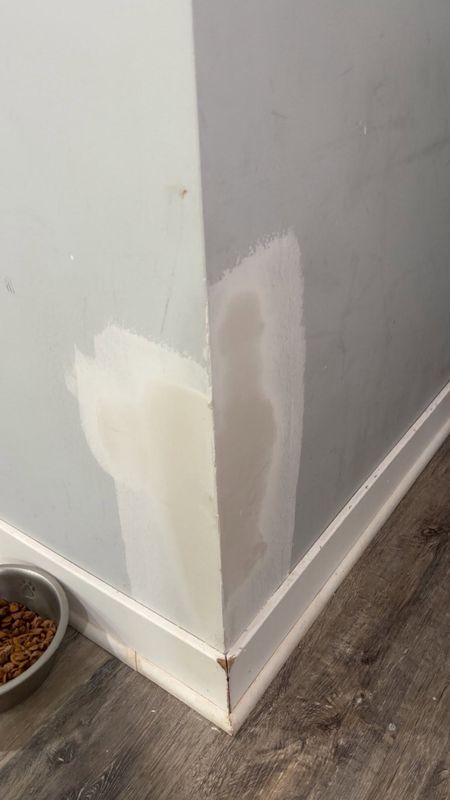 Drywall Repair