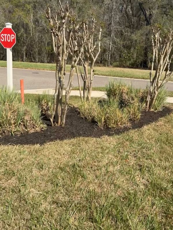 Shrub Trimming