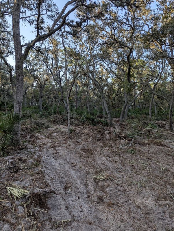 Land Clearing