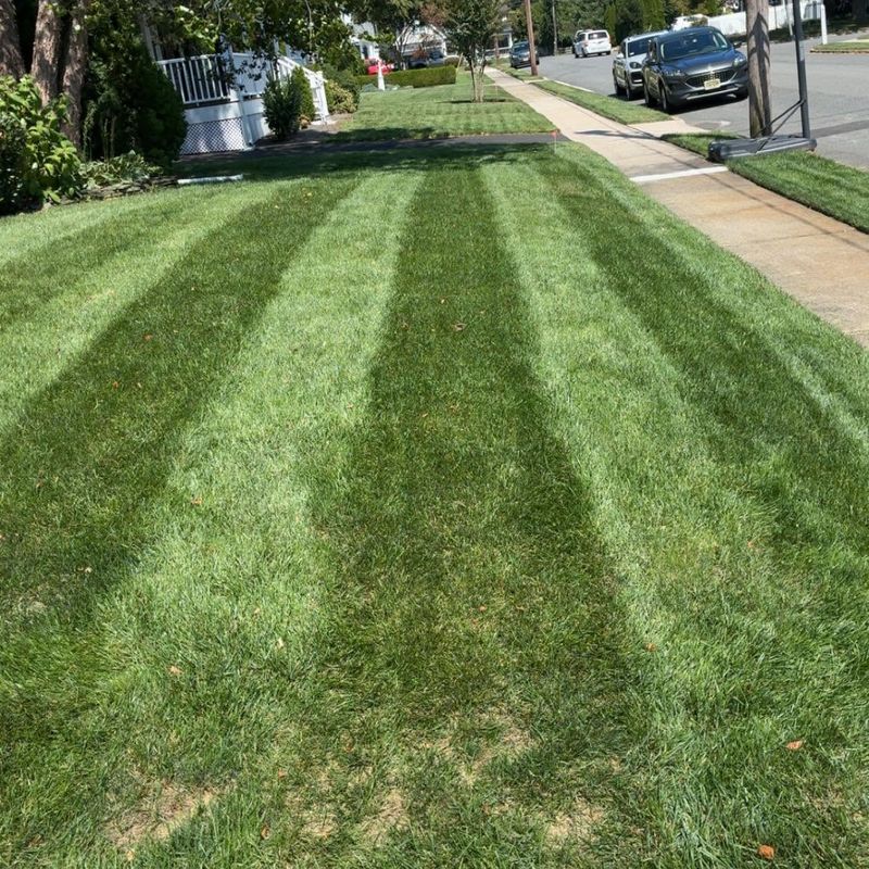 Lawn Maintenance