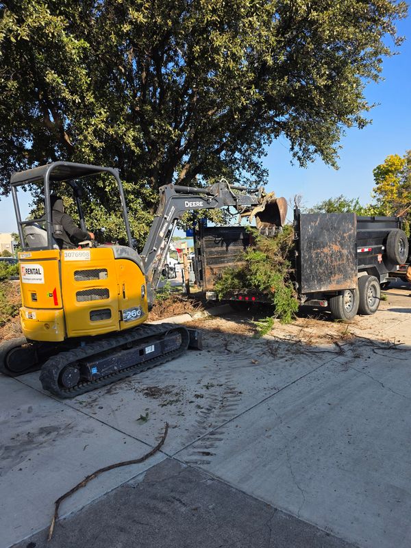 Tree Removal