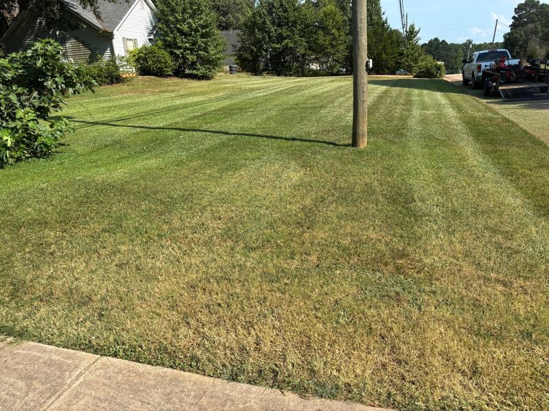 Lawn Maintenance