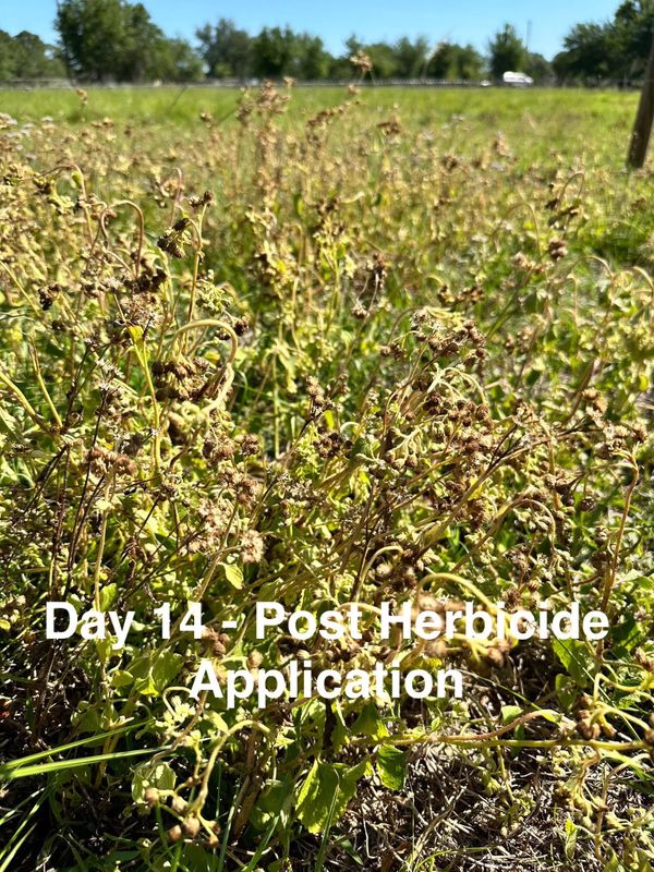 Custom Herbicide Treatments