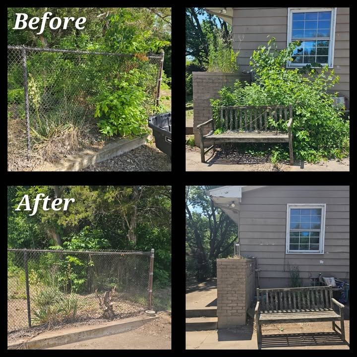 Yard Cleanup