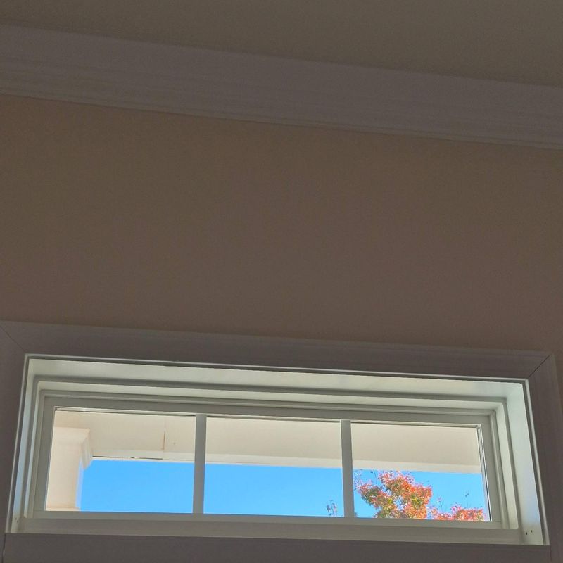 Other Glass Replacement