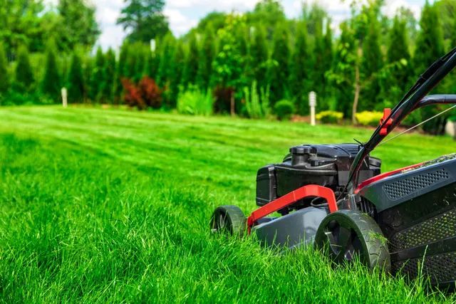Lawn Maintenance