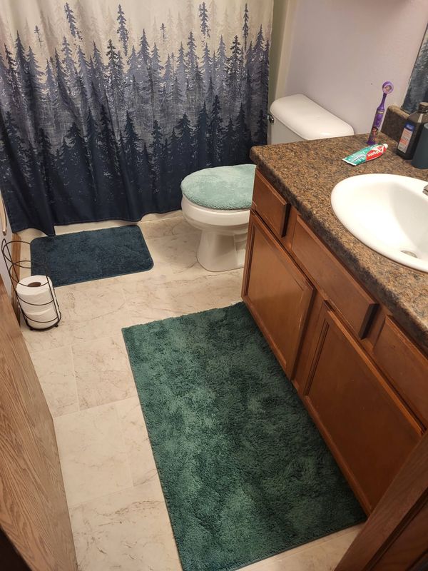 Plumbing Repairs