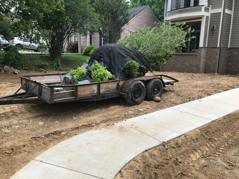 Other Lawn Services